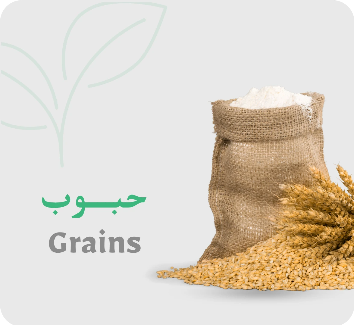 حبوب